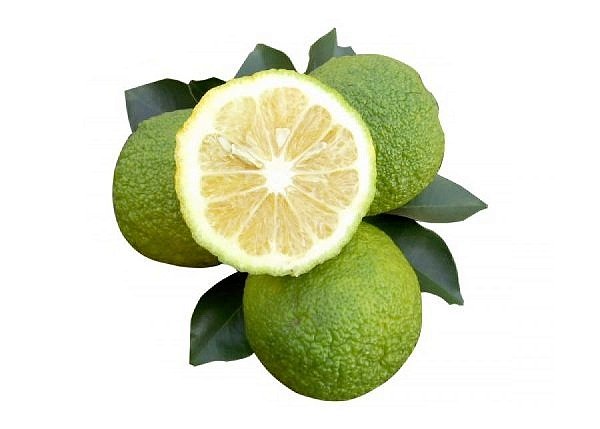 Laranja Da Terra - Muda Enxertada - Produz Em Pouco Tempo