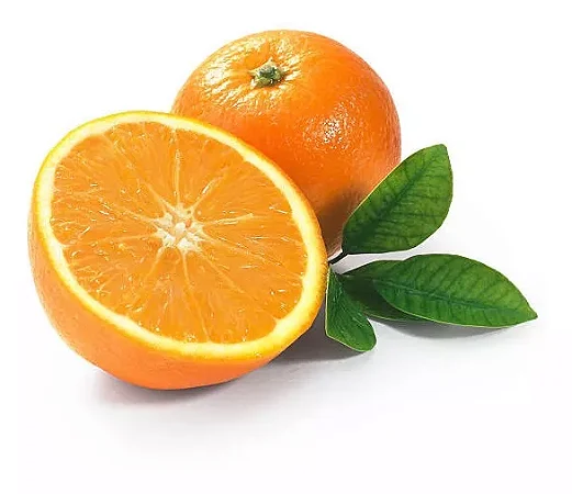 Laranja Bahia - Muda Enxertada / Produzindo