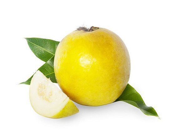 Araçá Amarelo - Muda Grande - Produz Em Pouco Tempo