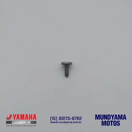 Parafuso (FORMATO ESPECIAL) (M6) - YFM 350 (Original Yamaha)