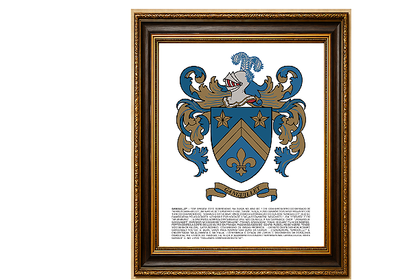 Escudo de Armas(Brasão sem moldura) com histórico