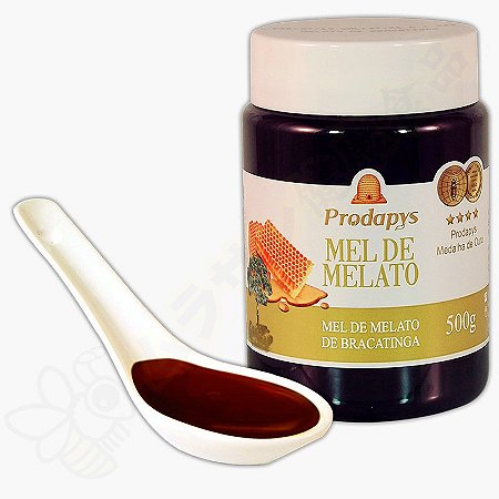 Mel de Melato de Bracatinga Puro 500g - Prodapys