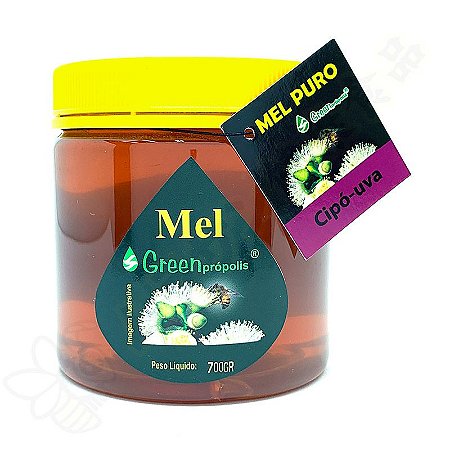 Mel Puro Florada Cipó Uva 700g - Apiário Sakamoto