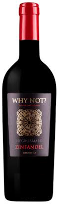 Why Not Negroamaro Primitivo 2021 – 750 ml / Puglia / Itália