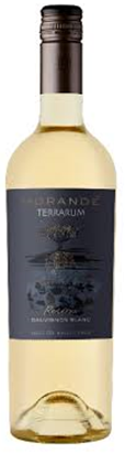 Morandé Terrarum Sauvignon Blanc Reserva 2023 – 750 ml / Maule / Chile