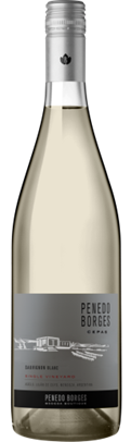 Penedo Borges Cepas Sauvignon Blanc 2024 – 750 ml / Luján de Cuyo / Argentina