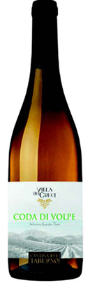 Coda di Volpe 2024 – 750 ml / Campania / Itália