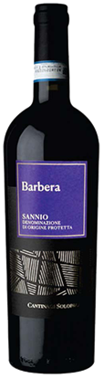 Barbera Sannio 2023 – 750 ml / Campania / Itália