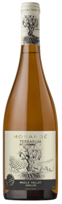 Morandé Terrarum Patrimonial Semillon 2023 – 750 ml / Vale do Maule / Chile