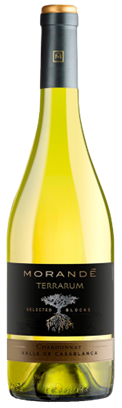 Morandé Terrarum Selected Blocks Chardonnay 2021 – 750 ml / Vale de Casablanca / Chile