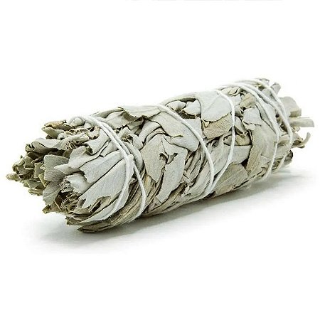 Bastão de Sálvia Branca (American White Sage)
