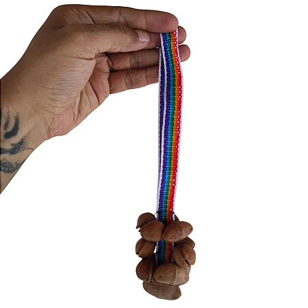 Chocalhos de Sementes Arco-íris