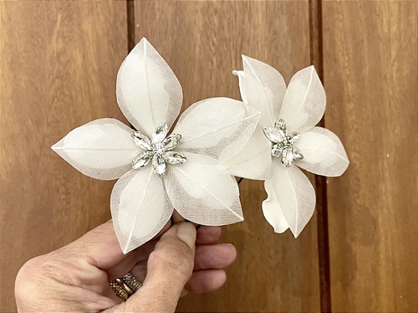 Lírio Aisha Unidade