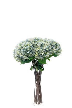 HORTENSIA NATURAL - Kero Novidades - Kero Novidades