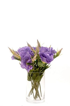 LISIANTHUS