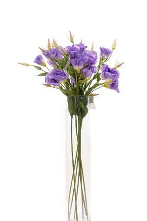 LISIANTHUS