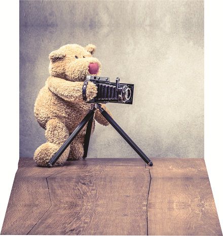 Fundo fotográfico para fotografias em tecido urso fotografo
