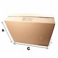 CAIXA DE PAPELÃO PARA TRANSPORTE DE TELEVISÃO LED 42'' - CX046 -C:1100 X L:25 X A:80 CM.