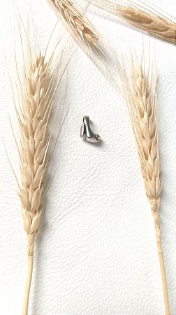 Berloque separador sapato