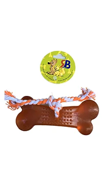 Brinquedo para Cães em Formato de Osso Higiênico Maciço Bone Cristal