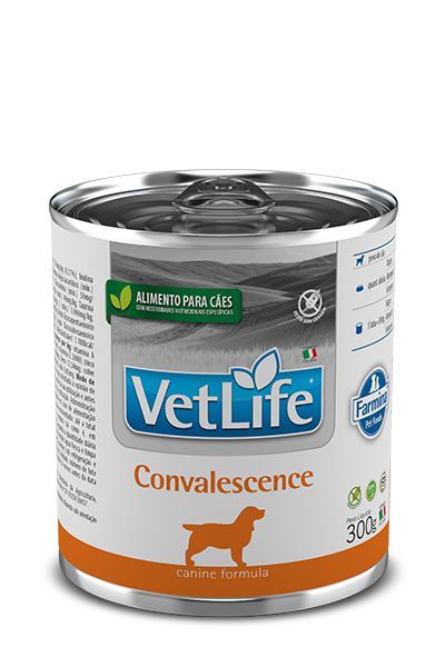 Vet Life Nat Wet Dog Convalesc 300g