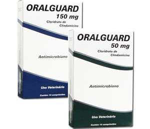 Oralguard Antibiótico com 14 Comprimidos