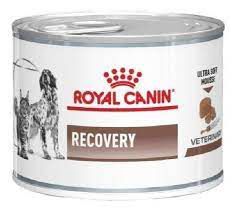Ração Úmida Royal Canin Veterinary Diet Recovery Wet para Cães e Gatos 195g