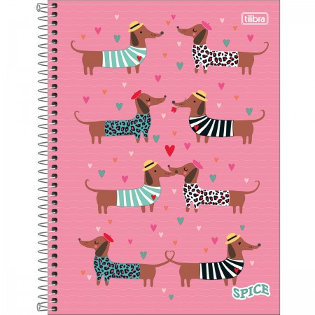 CADERNO ESPIRAL CAPA DURA UNIVERSITÁRIO 20 MATÉRIAS SPICE FEMININO 320 FOLHAS