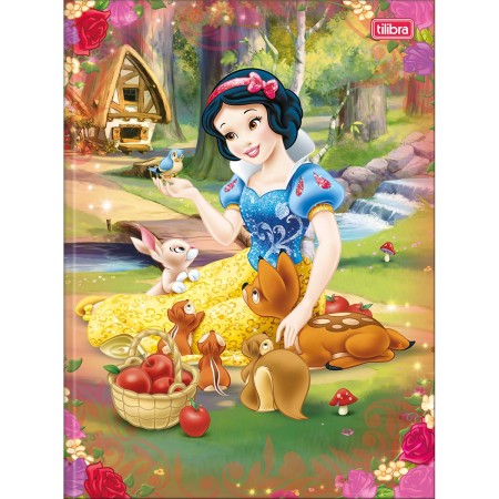 CADERNO BROCHURA CAPA DURA UNIVERSITÁRIO PRINCESAS 48 FOLHAS