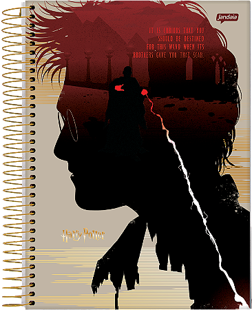 CADERNO ESPIRAL UNIVERSITÁRIO HARRY POTTER CD 10X1 200FLS