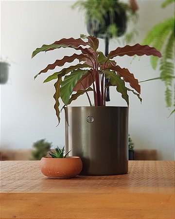 Cachepô Metálico Pote 14 Minimalista