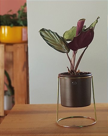 Cachepô Metálico Pote 12 com Suporte