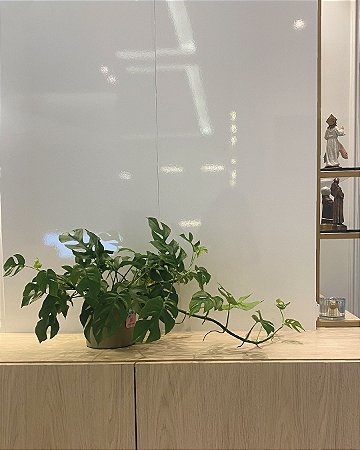 Cachepô Metálico Pote 15 Clássico