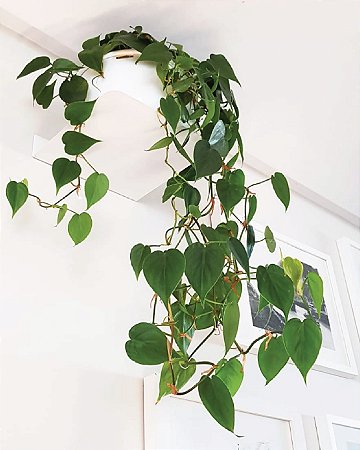 Prateleira de metal quadrada