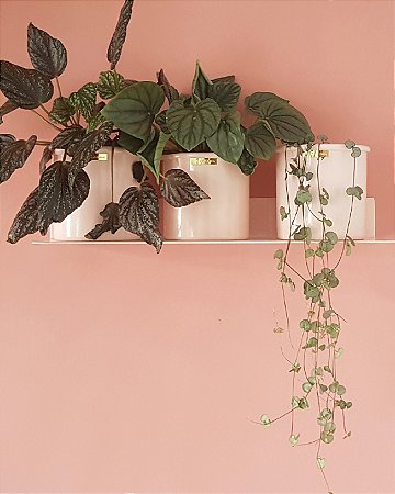 Prateleira de metal retangular