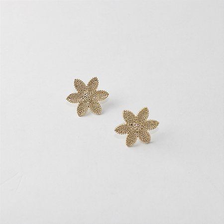 Brinco Metal Vazado Dourado