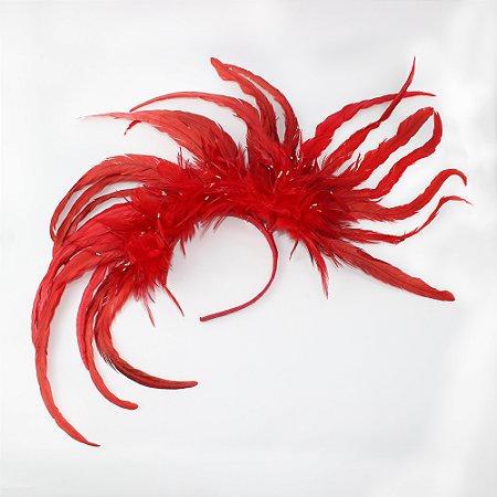 Arco de Cabelo com Penas Rabo de Galo