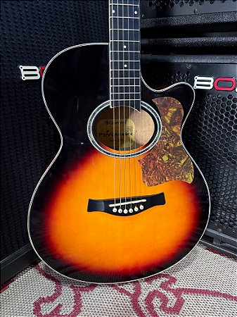 Violão Giannini Performance - Usado