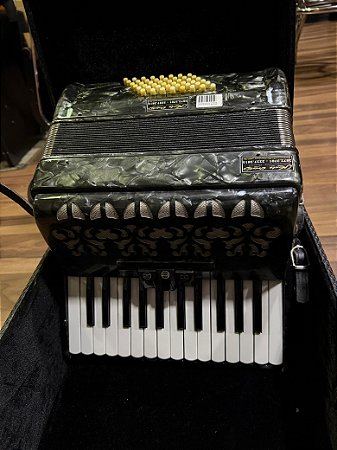 Sanfona Acordeon Groovin Stradella 48 Baixos + Estojo – Usado