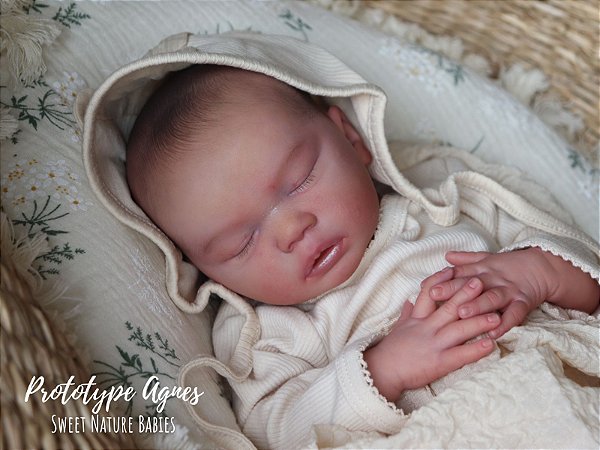 KIT ESCULTORA - BABY AGNES - "by PRISCILA LOPEZ - A PARTIR DE 15/02/2026 - MATERIAL REBORN - TUDO PARA REBORN
