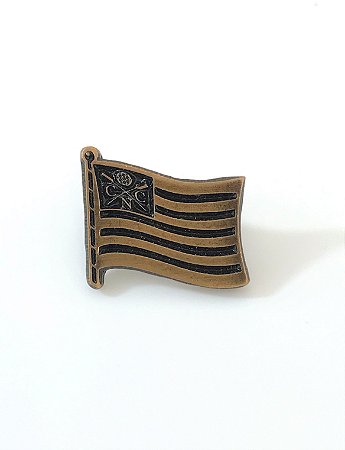 PIN Bronze Bandeira Hexa
