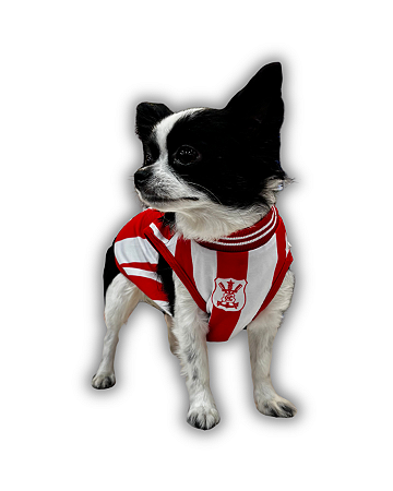 ROUPA PET - NÁUTICO