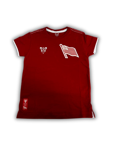 Camisa Básica Bandeira do Hexa Bordado - Infantil
