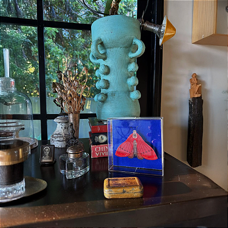 Quadro Acrílico Pinus - Borboleta Vermelha Fundo Azul