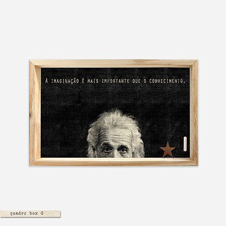 QUADRO BOX – EINSTEIN