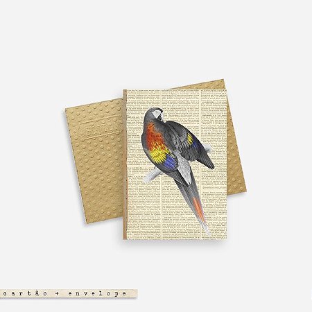 Cartão Envelope - Arara