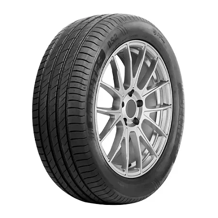 Pneu 205/55R17 - DELINTE DS2 95W