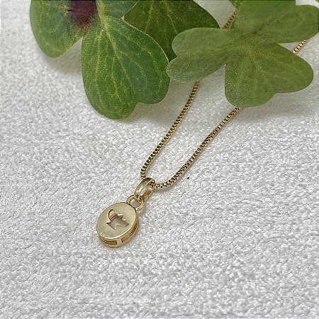 Colar Espírito Santo P Moldura Semijoia Ouro