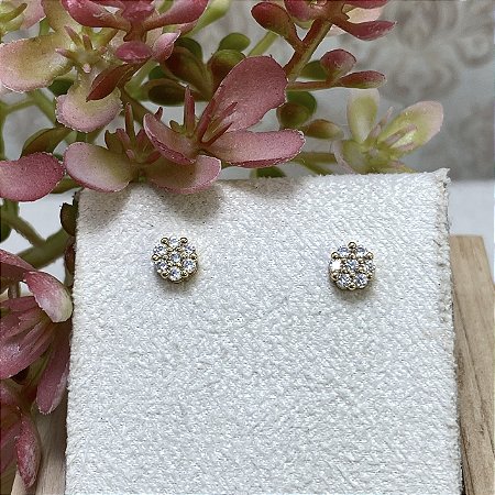 Brinco Pavezinho Cristal Semijoia Ouro