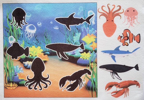 Livro - Sombras - Fundo do mar